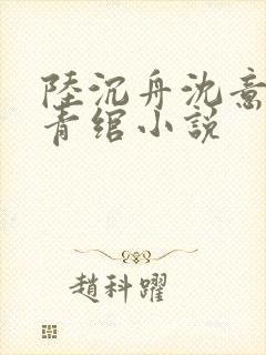 陆沉舟沈意欢林青绾小说