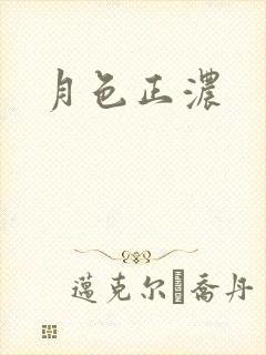 月色正浓封面