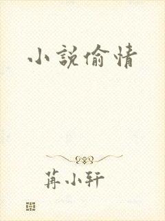 小说偷情