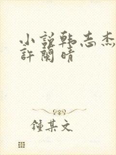 小说韩志杰陆雪许兰晴