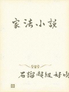 家法小说