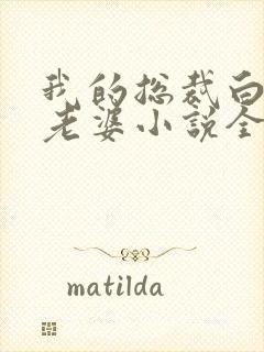 我的总裁白富美老婆小说全文在线阅读封面