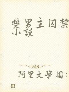 双男主囚禁调教小说