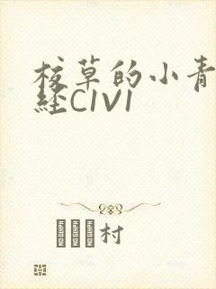 校草的小青梅不经C1V1