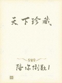 天下珍藏封面