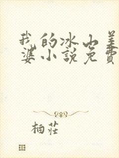 我的冰山美女老婆小说免费观看全文