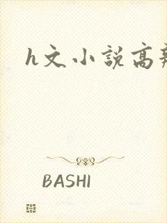 h文小说高辣文
