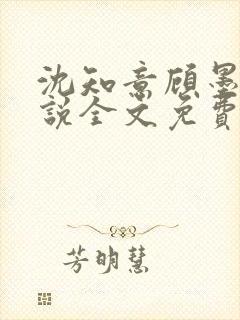 沈知意顾墨臣小说全文免费阅读封面