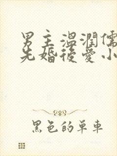 男主温润儒雅的先婚后爱小说封面