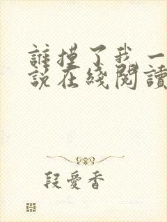 谁摸了我一下小说在线阅读