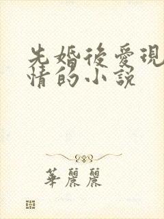 先婚后爱现代言情的小说