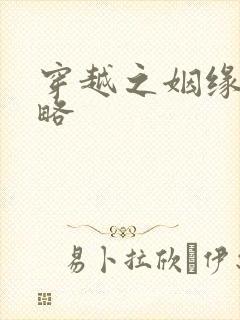 穿越之姻缘劫攻略