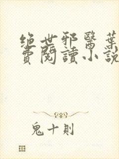 绝世邪医叶凡免费阅读小说封面