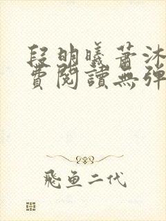 段明曦萧沐宸免费阅读无弹窗