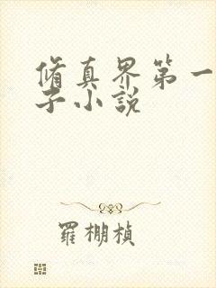 修真界第一病秧子小说