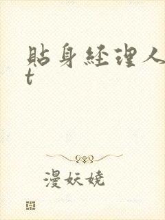 贴身经理人txt