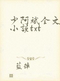 少阿斌全文阅读小说txt封面