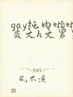 gay纯肉啪啪爽文h文男男np
