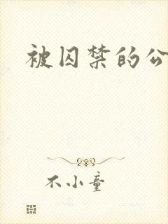 被囚禁的公主