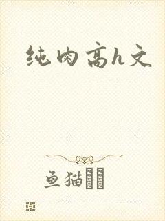 纯肉高h文