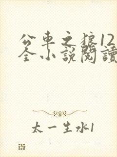 公车之狼12集全小说阅读