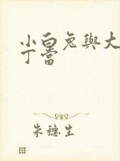 小白兔与大灰狼丁当封面