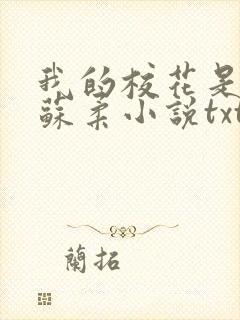 我的校花是福姬苏柔小说txt