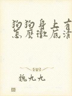 狗狗身上有跳蚤怎么彻底清除