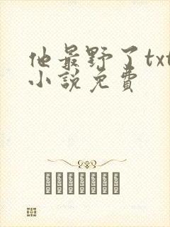 他最野了txt小说免费