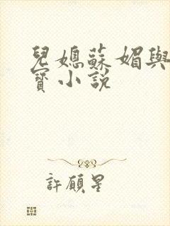 儿媳苏媚与赵大宝小说