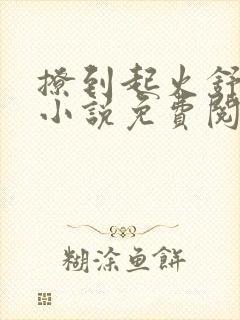 撩到起火舒漾的小说免费阅读全文封面