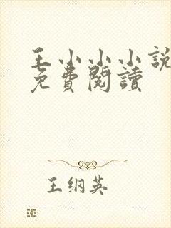 王小小小说全文免费阅读封面