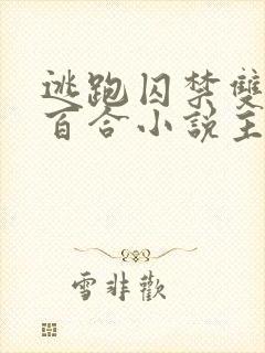 逃跑囚禁双女主百合小说主受封面