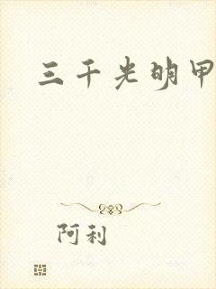 三千光明甲
