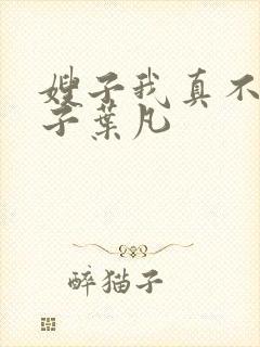 嫂子我真不是傻子叶凡