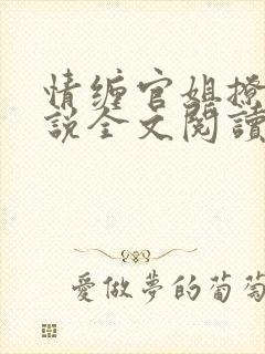 情缠官姐撩人小说全文阅读
