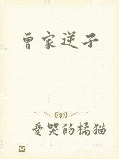 曹家逆子