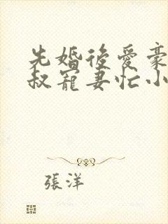 先婚后爱豪门大叔宠妻忙小说