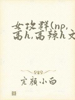 女攻群(np,高h,高辣h文)