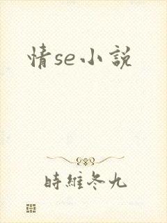 情se小说