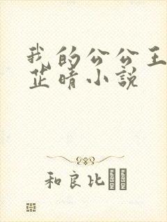 我的公公王大海芷晴小说