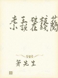 老王破校花沈瑶小说在线阅读