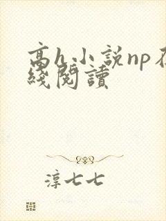 高h小说np在线阅读封面
