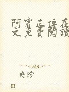 阿宾正传在线全文免费阅读无删减封面