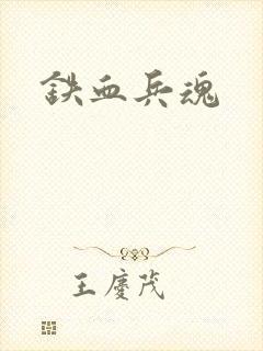 铁血兵魂封面