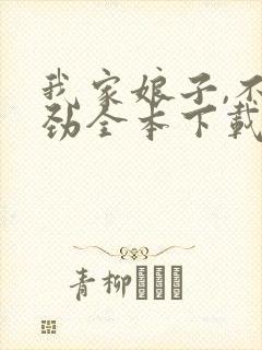 我家娘子,不对劲全本下载