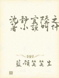 沈静宜陆之远原著小说叫什么