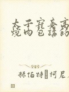 太子宠妾高肉红烧肉包讲的什么