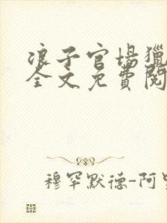 浪子官场猎艳记全文免费阅读