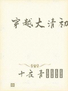 穿越大清初年封面